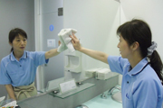 サンプル